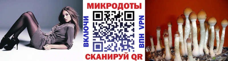 Галлюциногенные грибы ЛСД  Купить закладки  Выкса 
